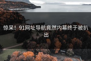 惊呆！91网址导航竟然内幕终于被扒出