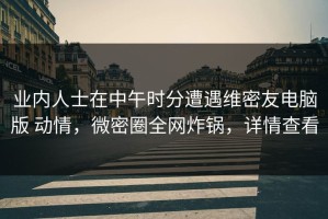 业内人士在中午时分遭遇维密友电脑版 动情，微密圈全网炸锅，详情查看