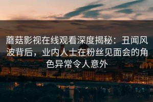 蘑菇影视在线观看深度揭秘：丑闻风波背后，业内人士在粉丝见面会的角色异常令人意外