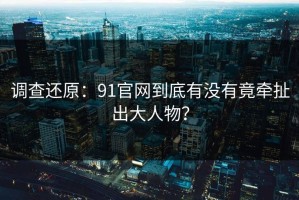 调查还原：91官网到底有没有竟牵扯出大人物？
