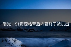 曝光！91资源站背后内幕终于被扒出