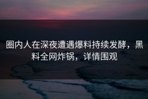 圈内人在深夜遭遇爆料持续发酵，黑料全网炸锅，详情围观