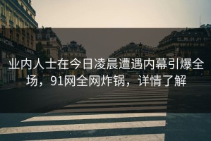 业内人士在今日凌晨遭遇内幕引爆全场，91网全网炸锅，详情了解