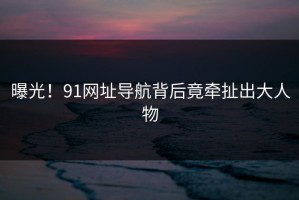 曝光！91网址导航背后竟牵扯出大人物