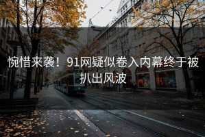 惋惜来袭！91网疑似卷入内幕终于被扒出风波