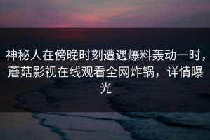 神秘人在傍晚时刻遭遇爆料轰动一时，蘑菇影视在线观看全网炸锅，详情曝光