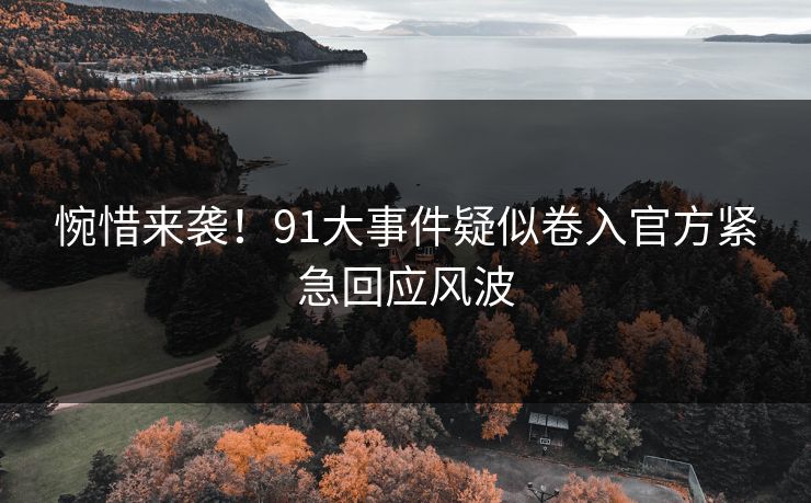 惋惜来袭！91大事件疑似卷入官方紧急回应风波