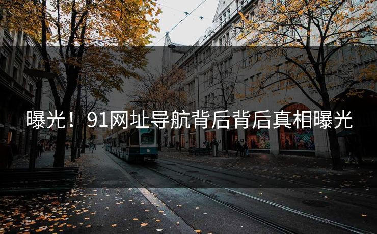 曝光！91网址导航背后背后真相曝光
