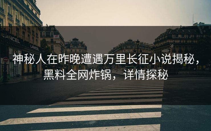 神秘人在昨晚遭遇万里长征小说揭秘，黑料全网炸锅，详情探秘