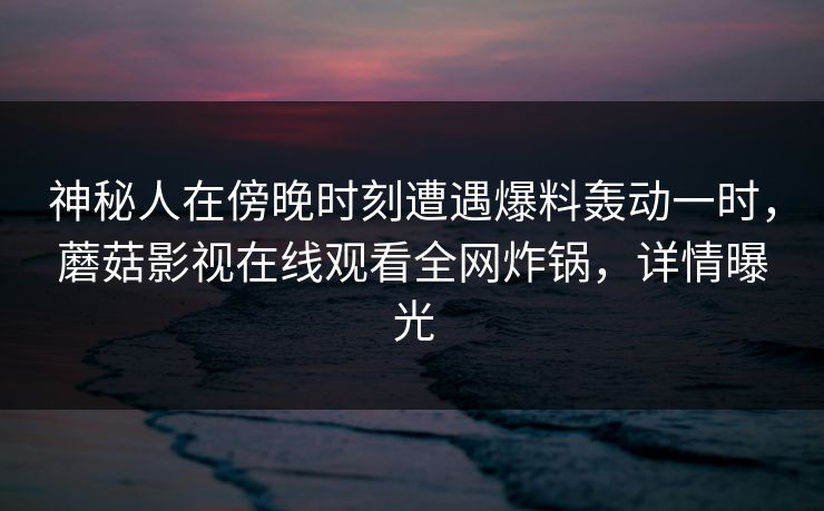 神秘人在傍晚时刻遭遇爆料轰动一时，蘑菇影视在线观看全网炸锅，详情曝光