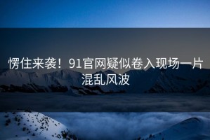 愣住来袭！91官网疑似卷入现场一片混乱风波
