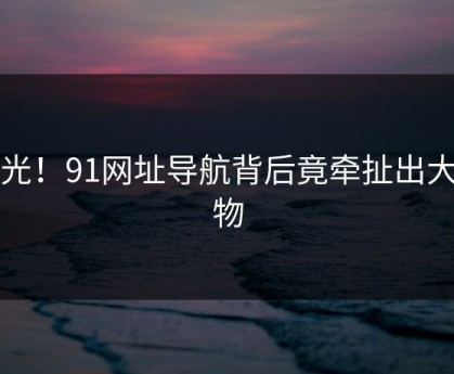曝光！91网址导航背后竟牵扯出大人物
