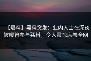 【爆料】黑料突发：业内人士在深夜被曝曾参与猛料，令人震惊席卷全网