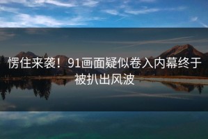 愣住来袭！91画面疑似卷入内幕终于被扒出风波