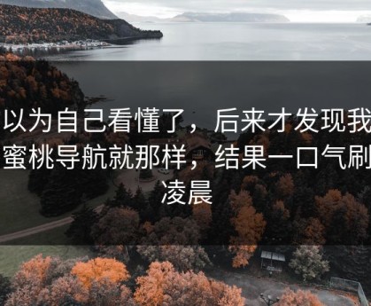 我以为自己看懂了，后来才发现我以为蜜桃导航就那样，结果一口气刷到凌晨