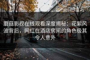 蘑菇影视在线观看深度揭秘：花絮风波背后，网红在酒店房间的角色极其令人意外