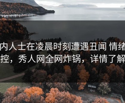 业内人士在凌晨时刻遭遇丑闻 情绪失控，秀人网全网炸锅，详情了解