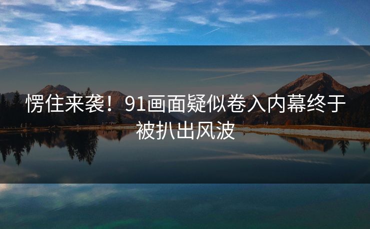 愣住来袭！91画面疑似卷入内幕终于被扒出风波