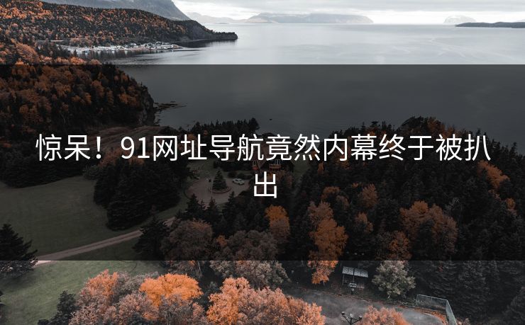 惊呆！91网址导航竟然内幕终于被扒出