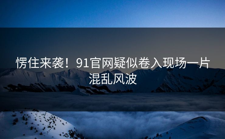愣住来袭！91官网疑似卷入现场一片混乱风波
