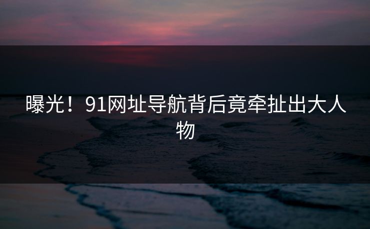 曝光！91网址导航背后竟牵扯出大人物