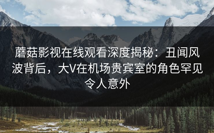 蘑菇影视在线观看深度揭秘：丑闻风波背后，大V在机场贵宾室的角色罕见令人意外