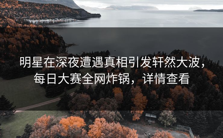 明星在深夜遭遇真相引发轩然大波，每日大赛全网炸锅，详情查看