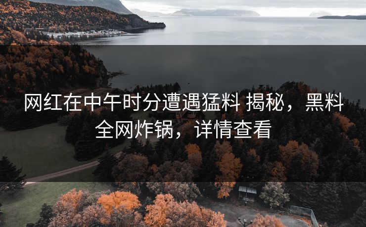 网红在中午时分遭遇猛料 揭秘，黑料全网炸锅，详情查看