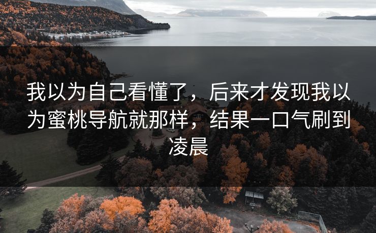 我以为自己看懂了，后来才发现我以为蜜桃导航就那样，结果一口气刷到凌晨